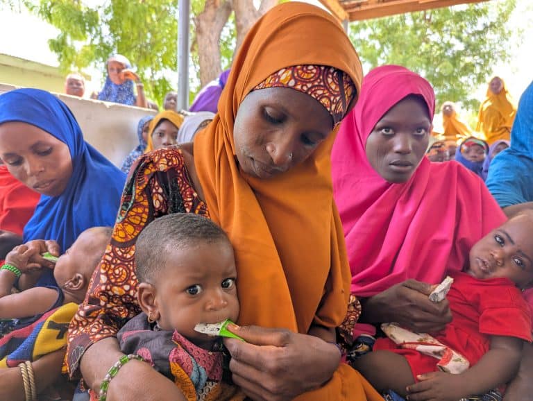 Allier nutrition et vaccination dans l'État de Yobe 1-3