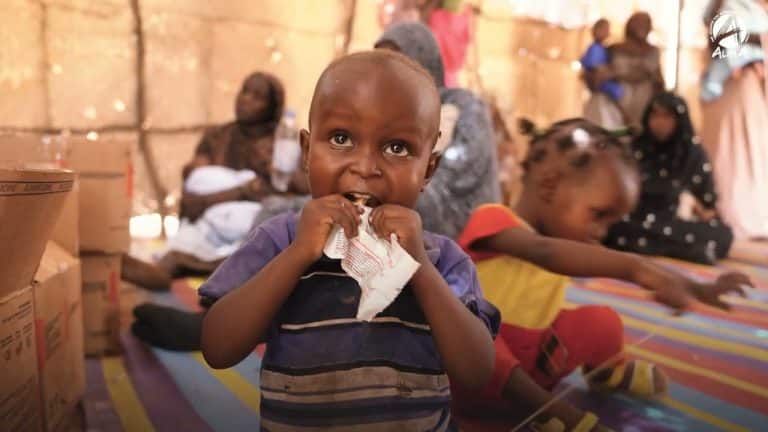 the real impact of your donation