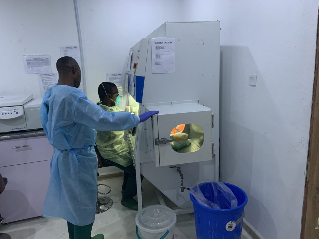 Surviving Lassa Fever Stories of Recovery in Southwest Nigeria 3